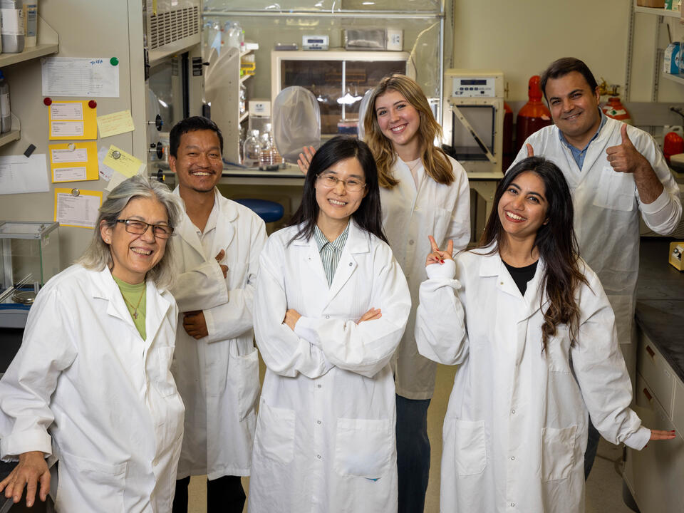 Lab image