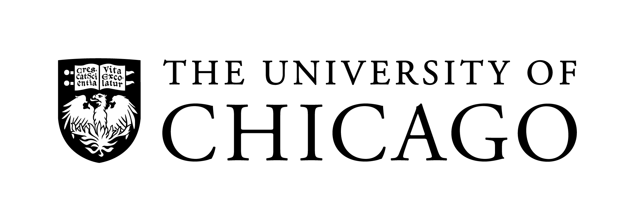 University of Chicago logo
